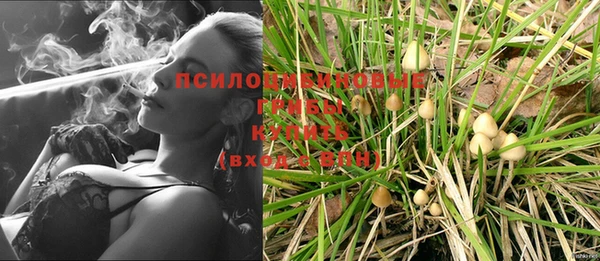 соль ск Абинск