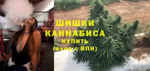 ПСИЛОЦИБИНОВЫЕ ГРИБЫ Рославль
