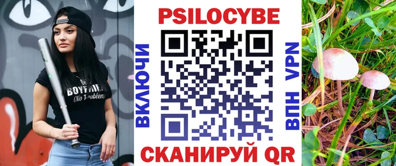 Псилоцибиновые грибы мухоморы  купить наркотик  Ефремов 