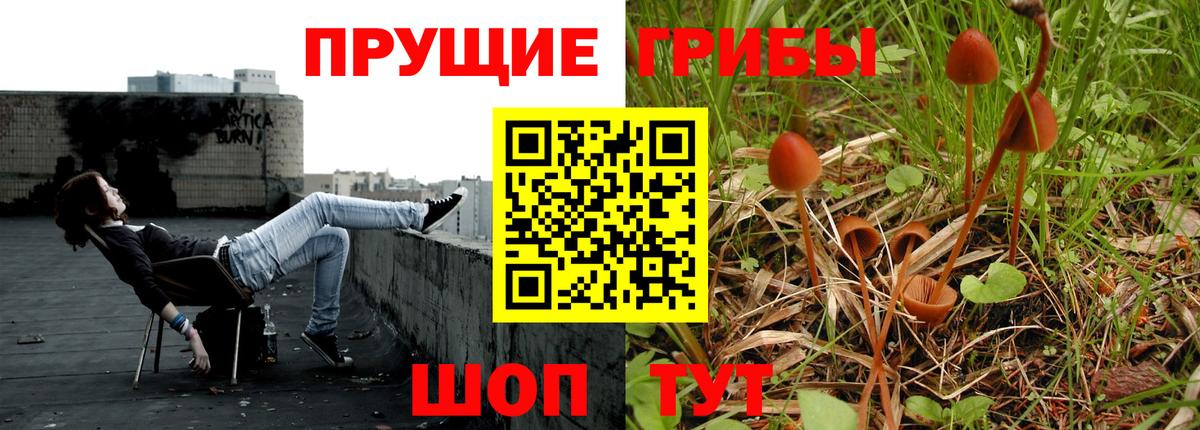 Галлюциногенные грибы Psilocybine cubensis Ефремов