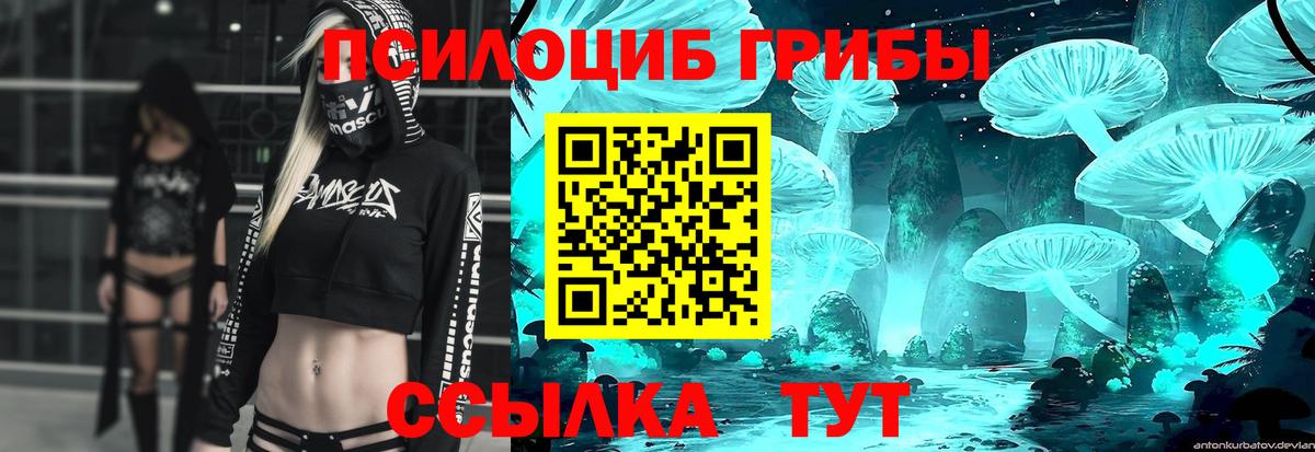 Псилоцибиновые грибы Cubensis  Галлюциногенные грибы Magic Shrooms  Вход с VPN  Ефремов 